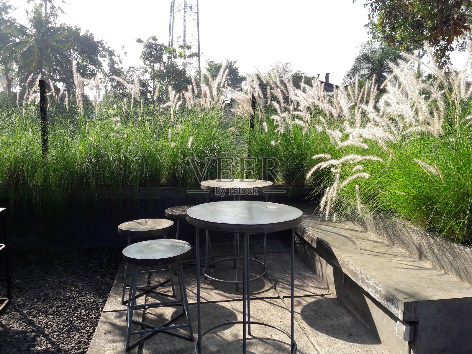 照片中的桌子和椅子在花园与杂草的背景照片摄影图片