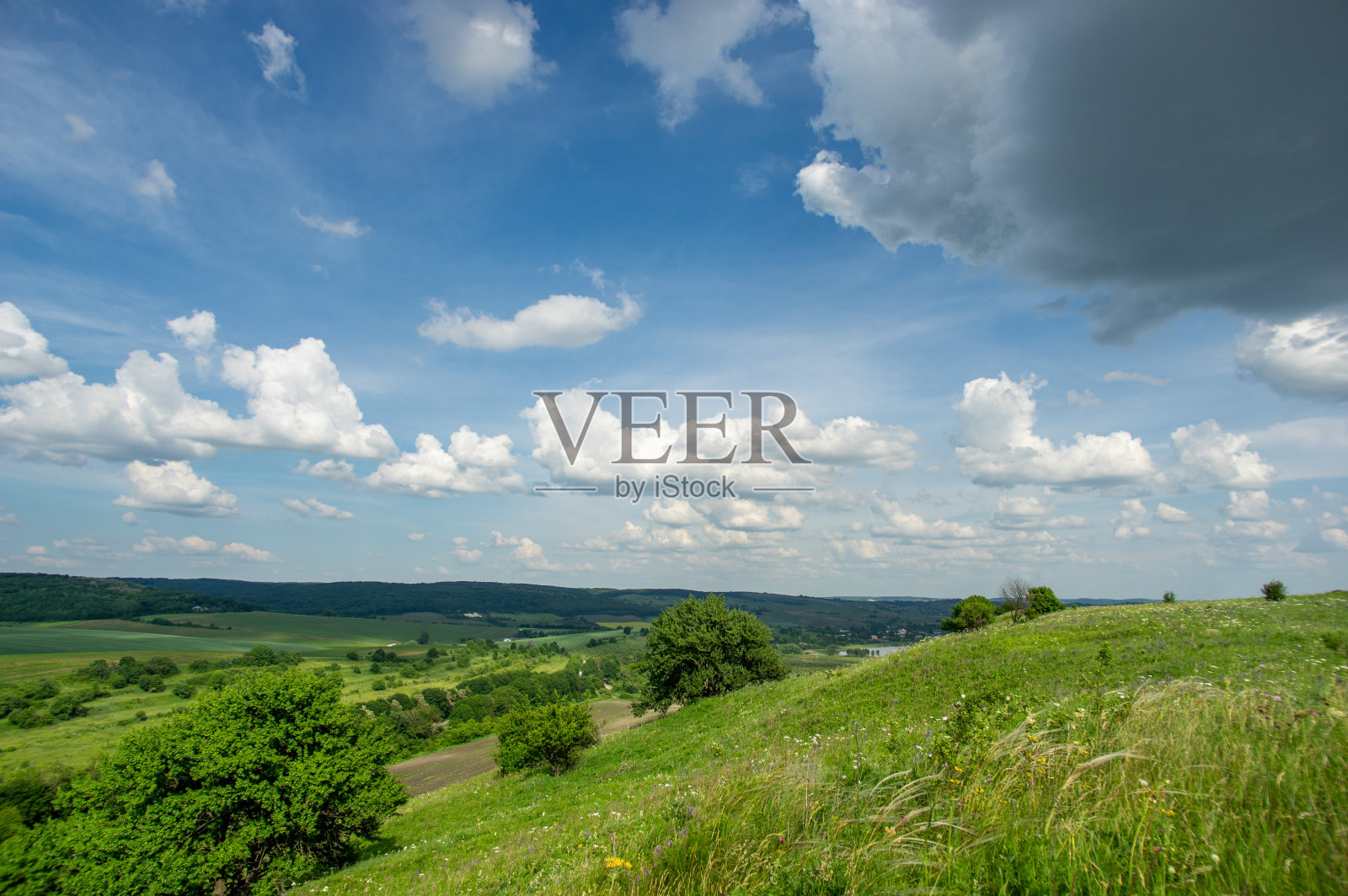 美丽的夏日风景，阳光明媚的绿色田野照片摄影图片