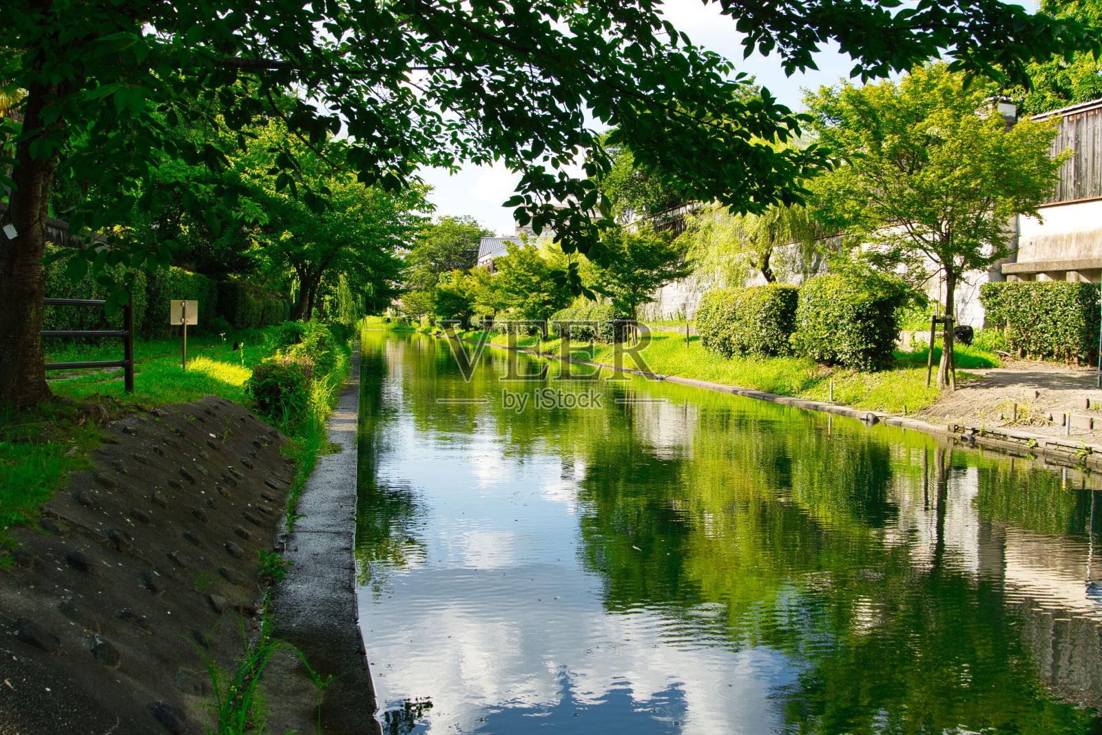 伏见的疏水性照片摄影图片