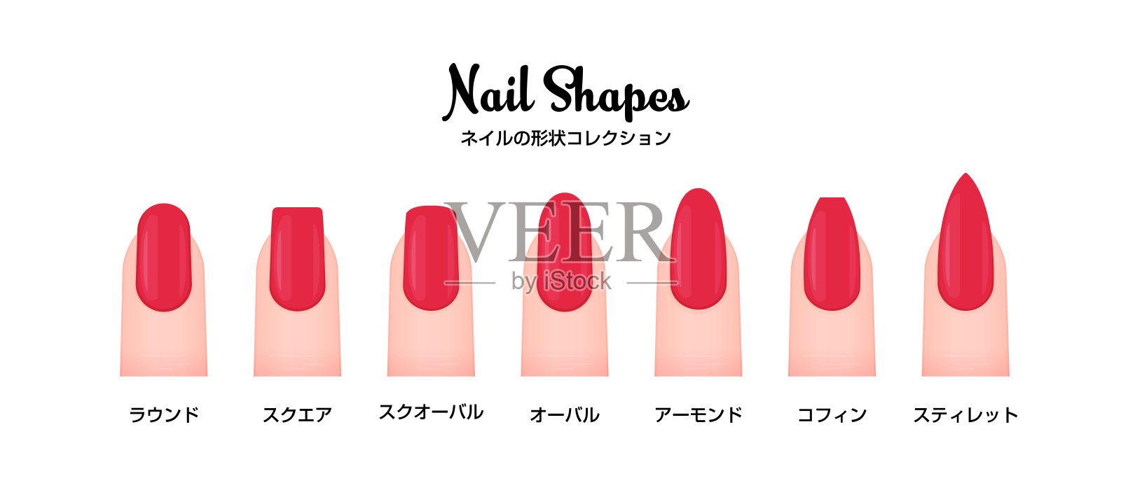 各种各样的指甲形状矢量插图集插画图片素材