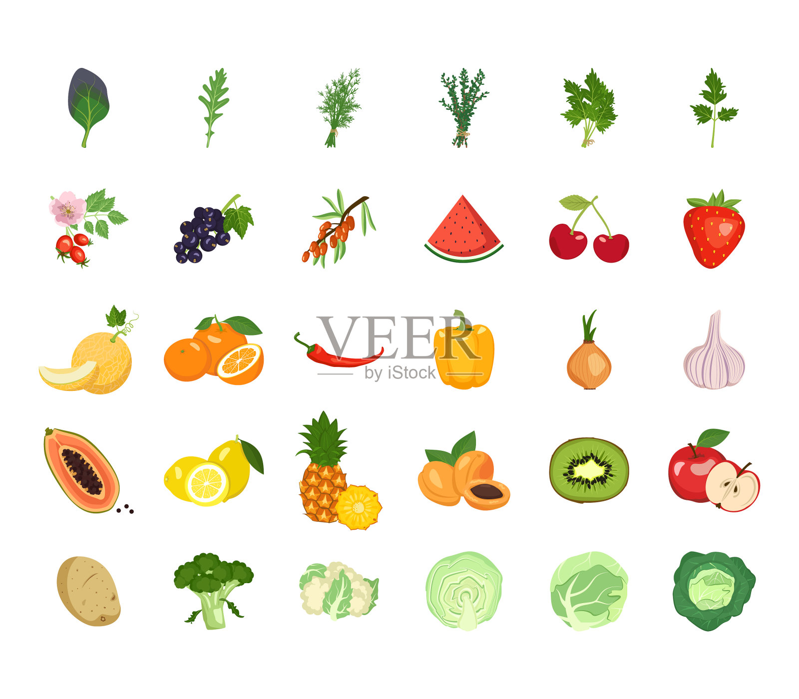 水果，蔬菜和香草插画图片素材