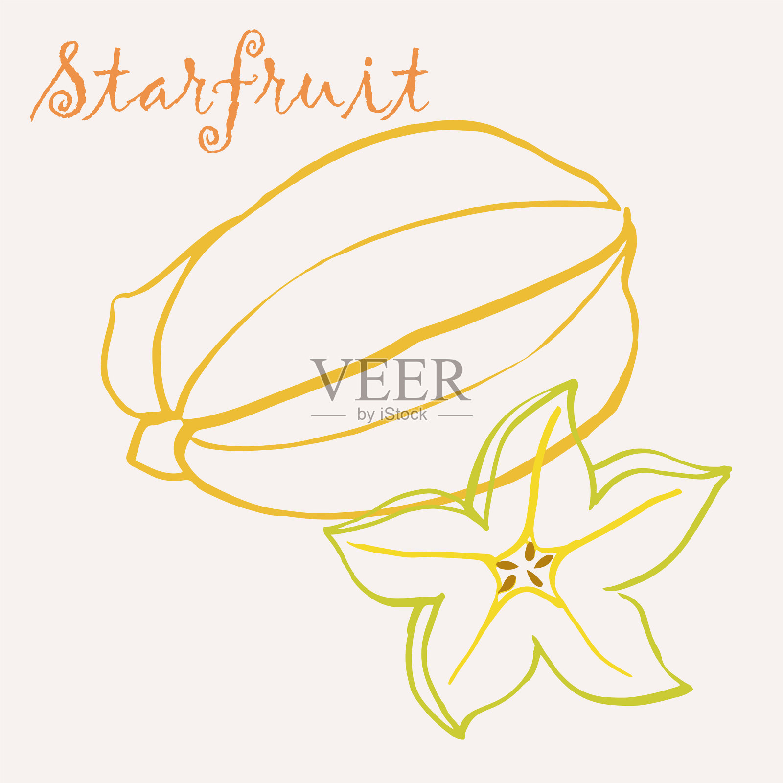 手绘杨桃多色线条艺术插画图片素材