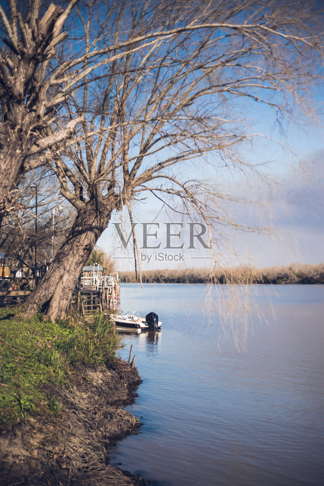 船停泊在河岸的树下，垂直照片摄影图片