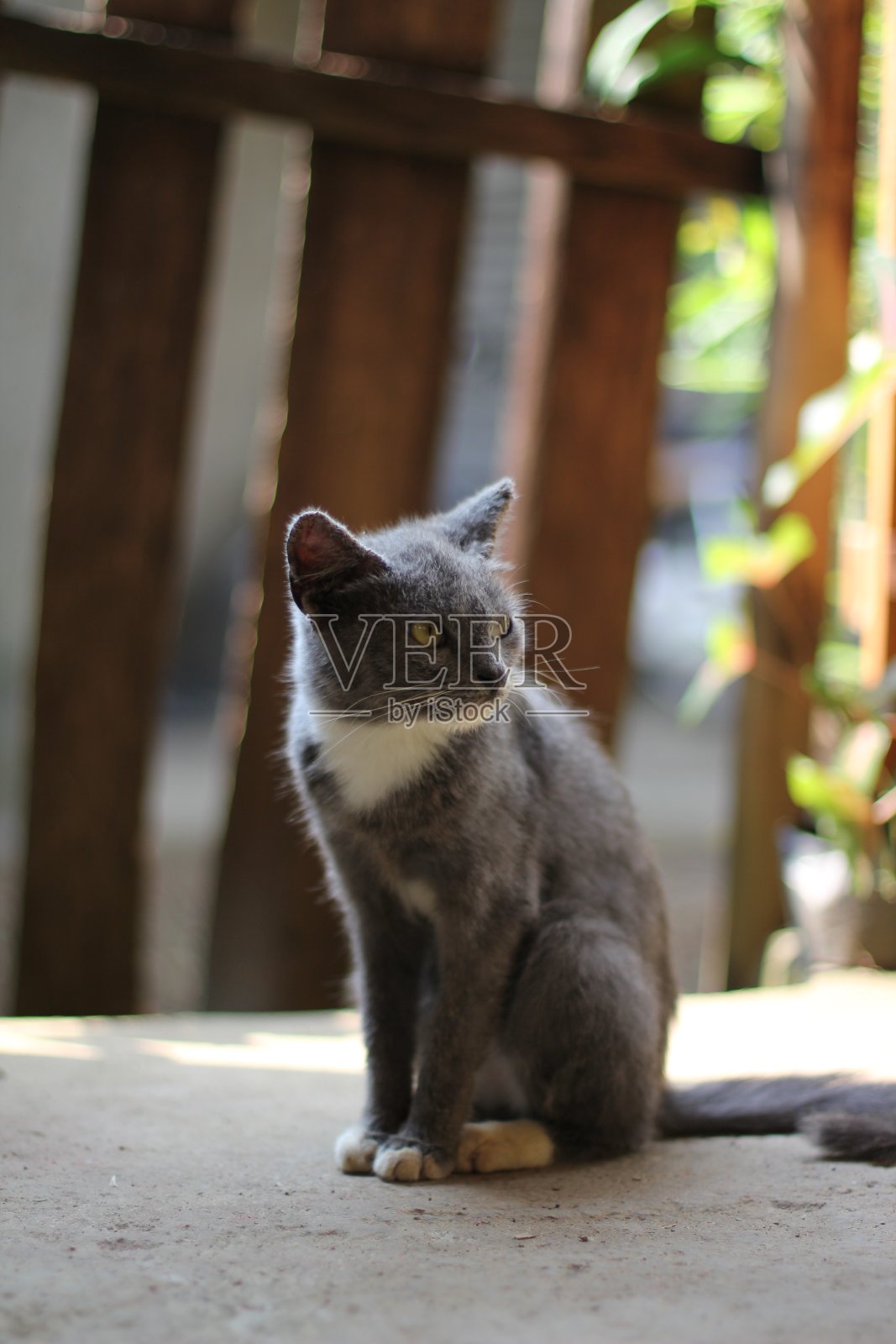 看食物照片摄影图片