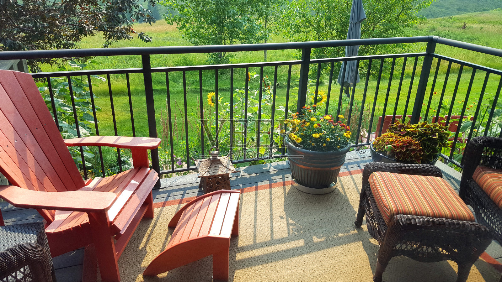 阳光明媚的夏日花园照片摄影图片