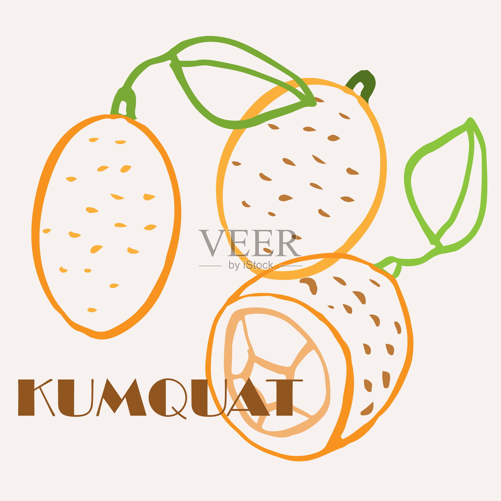 金橘线条艺术手绘多色现代插画图片素材