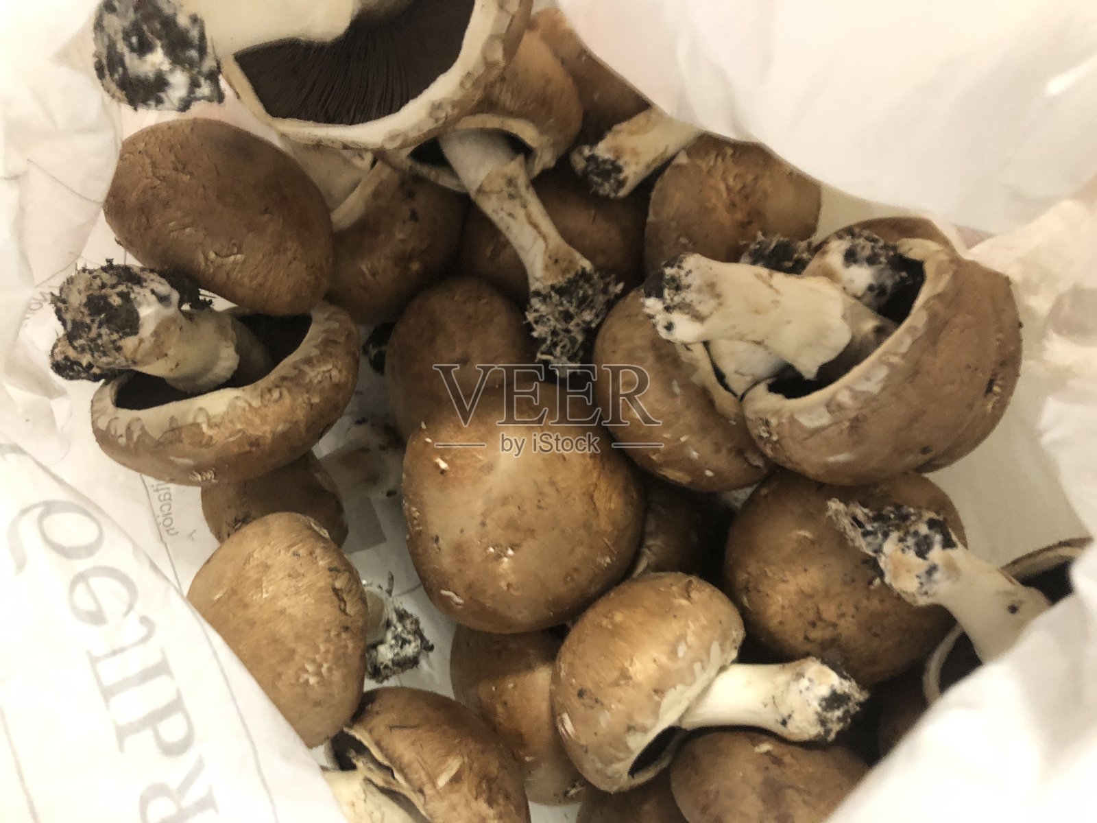 美味的蘑菇照片摄影图片