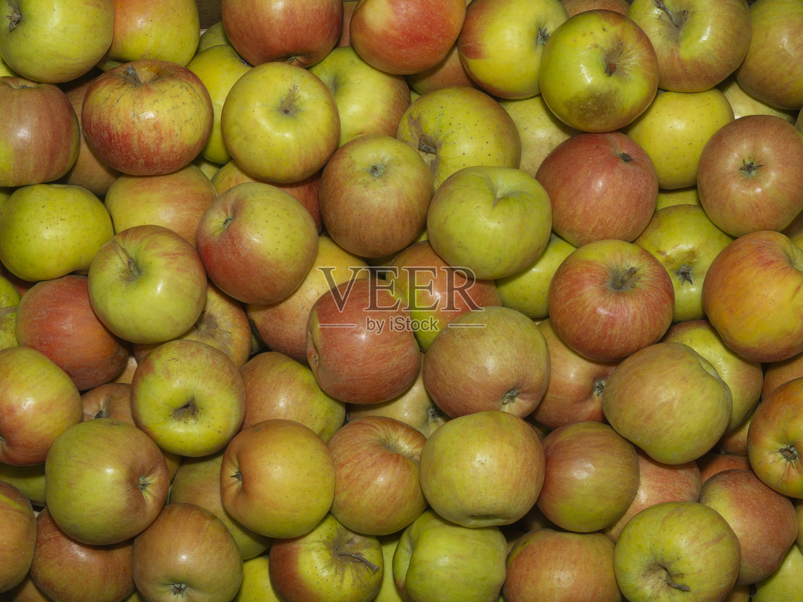 背景色彩斑斓，有绿的、红的、黄的苹果，全屏。照片摄影图片