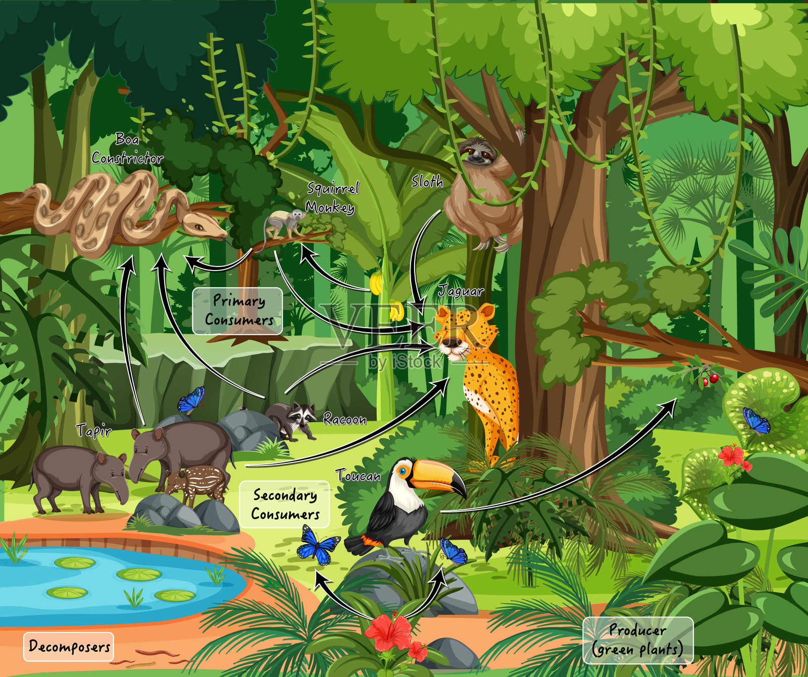 图表显示生态系统在第一个场景与野生动物插画图片素材