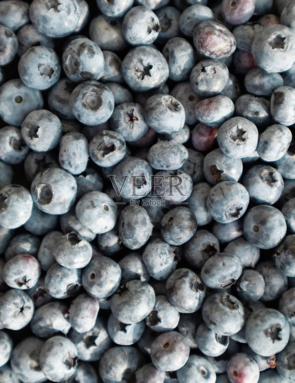 新鲜蓝莓背景。浆果，纹理蓝莓。照片摄影图片