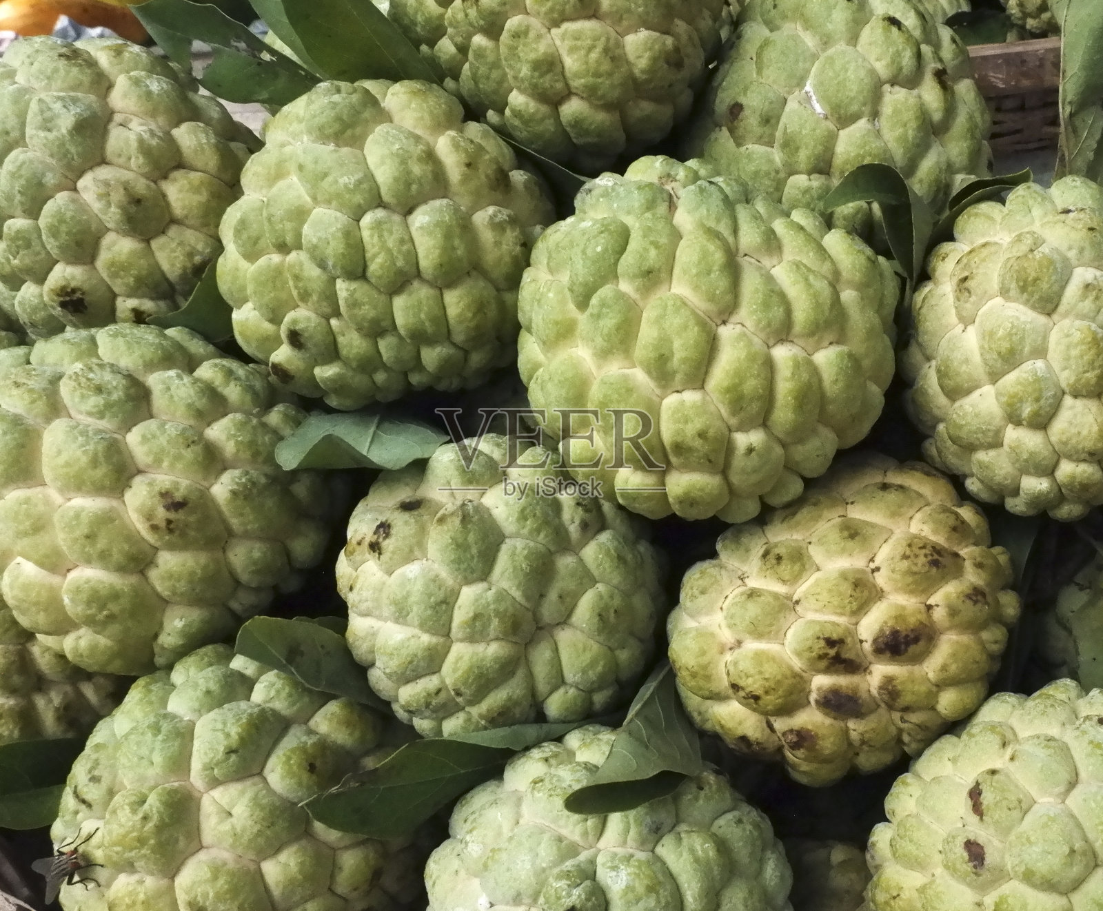 蛋奶照片摄影图片