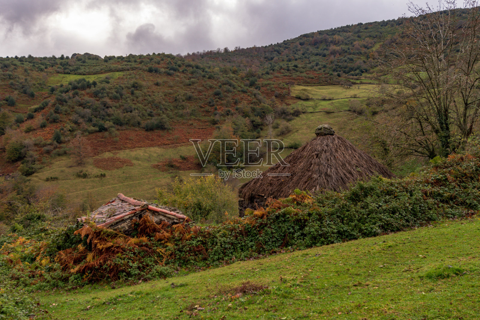 阿斯图里亚斯的内部景观照片摄影图片