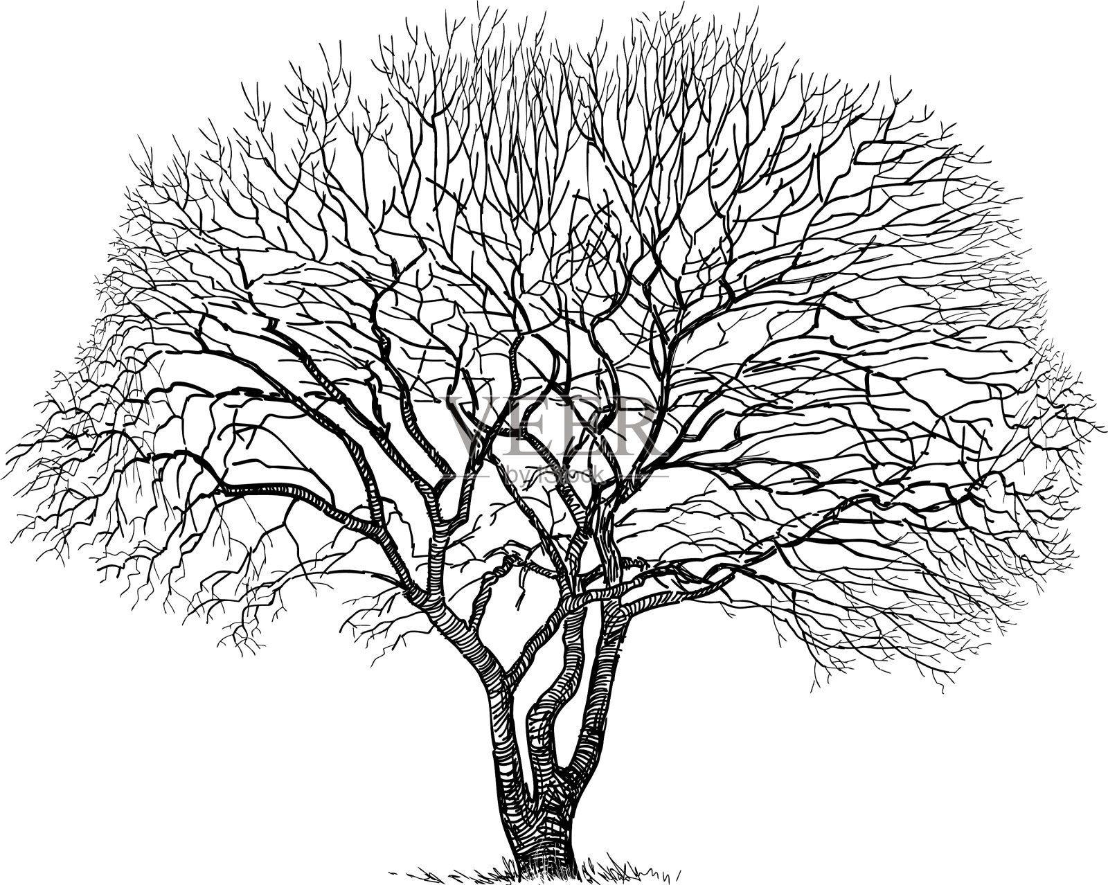 徒手画剪影老落叶裸设计元素图片