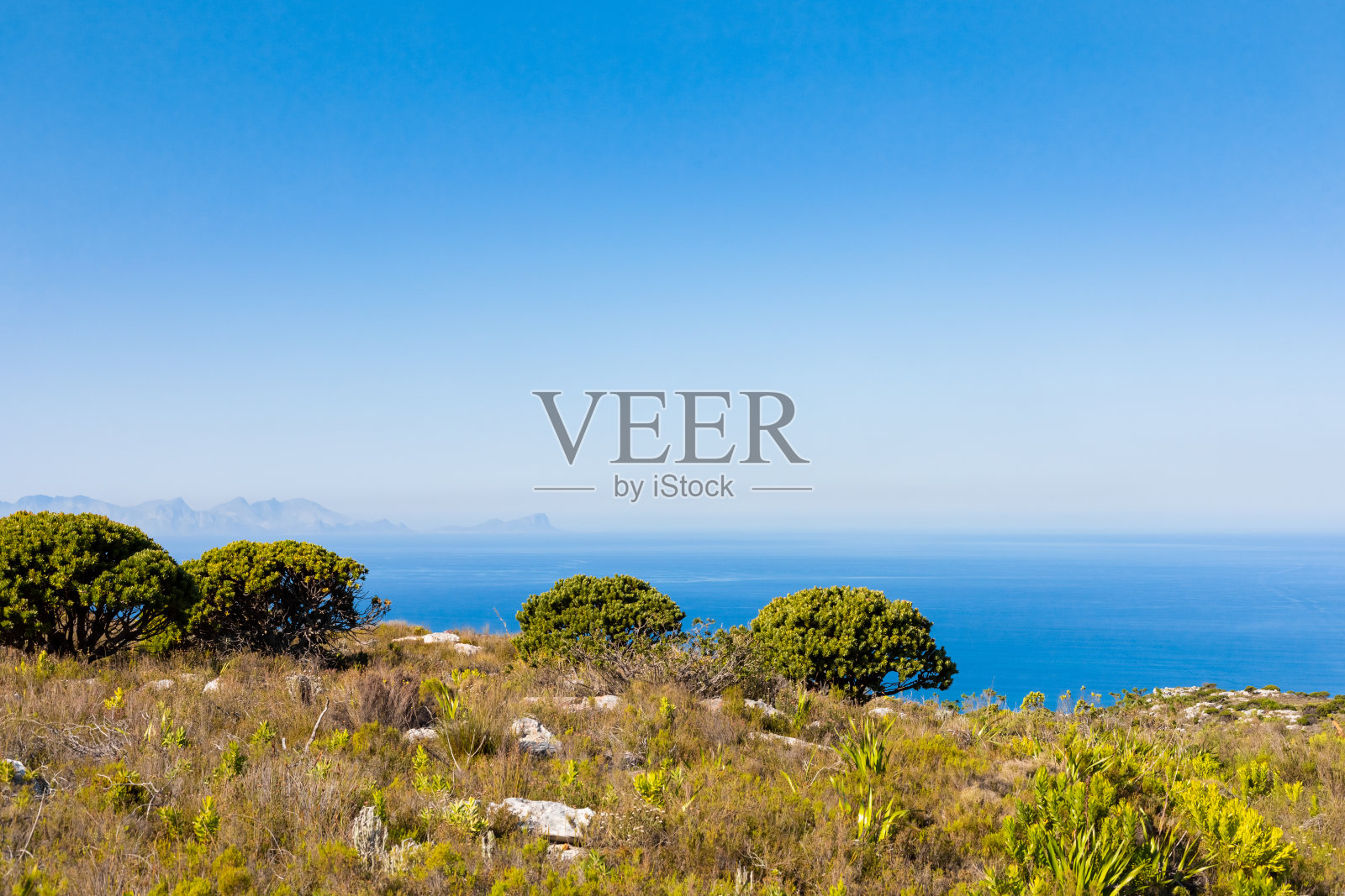 开普敦的沿海山地景观与芬博斯植物群照片摄影图片