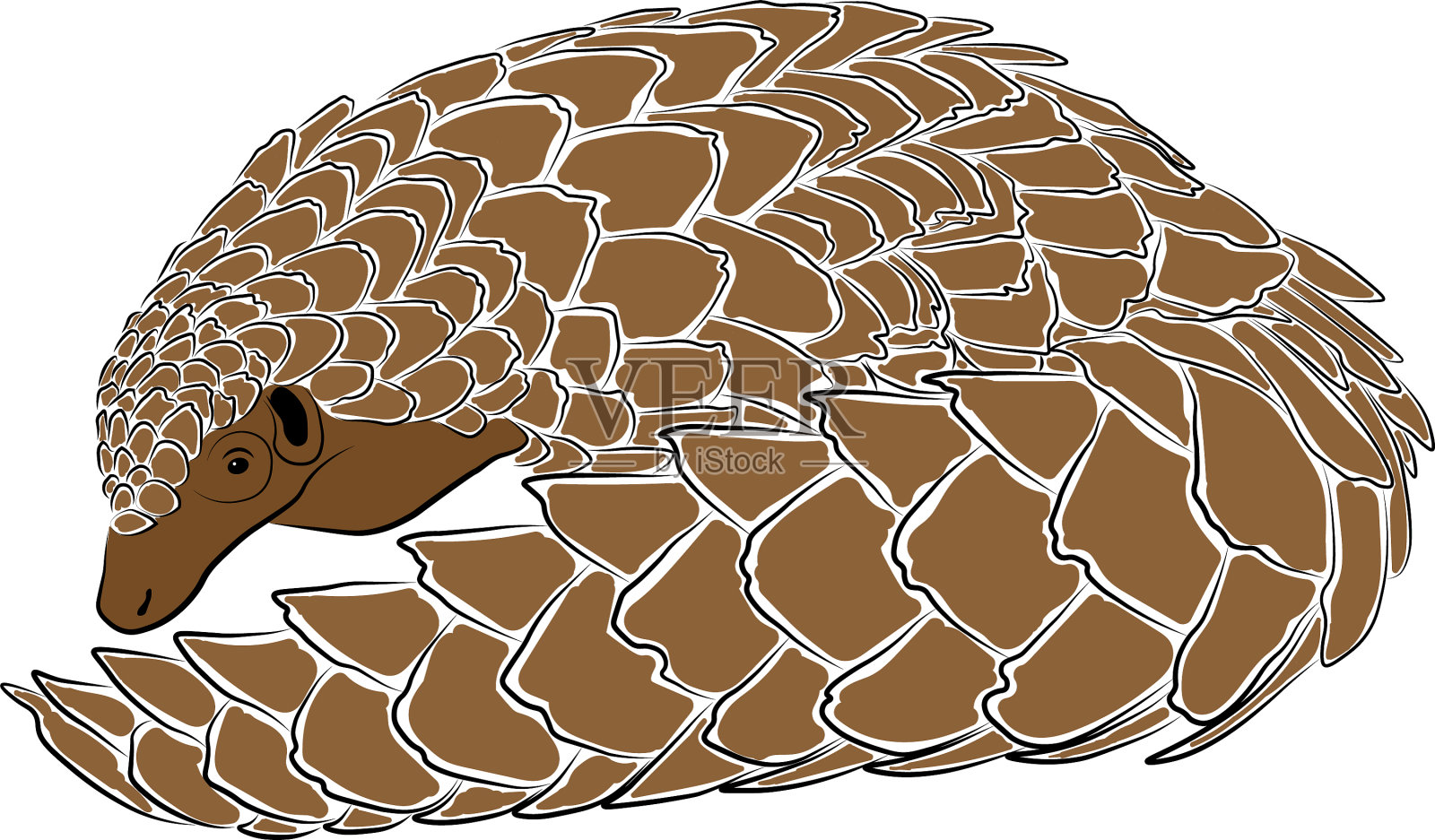 穿山甲设计元素图片