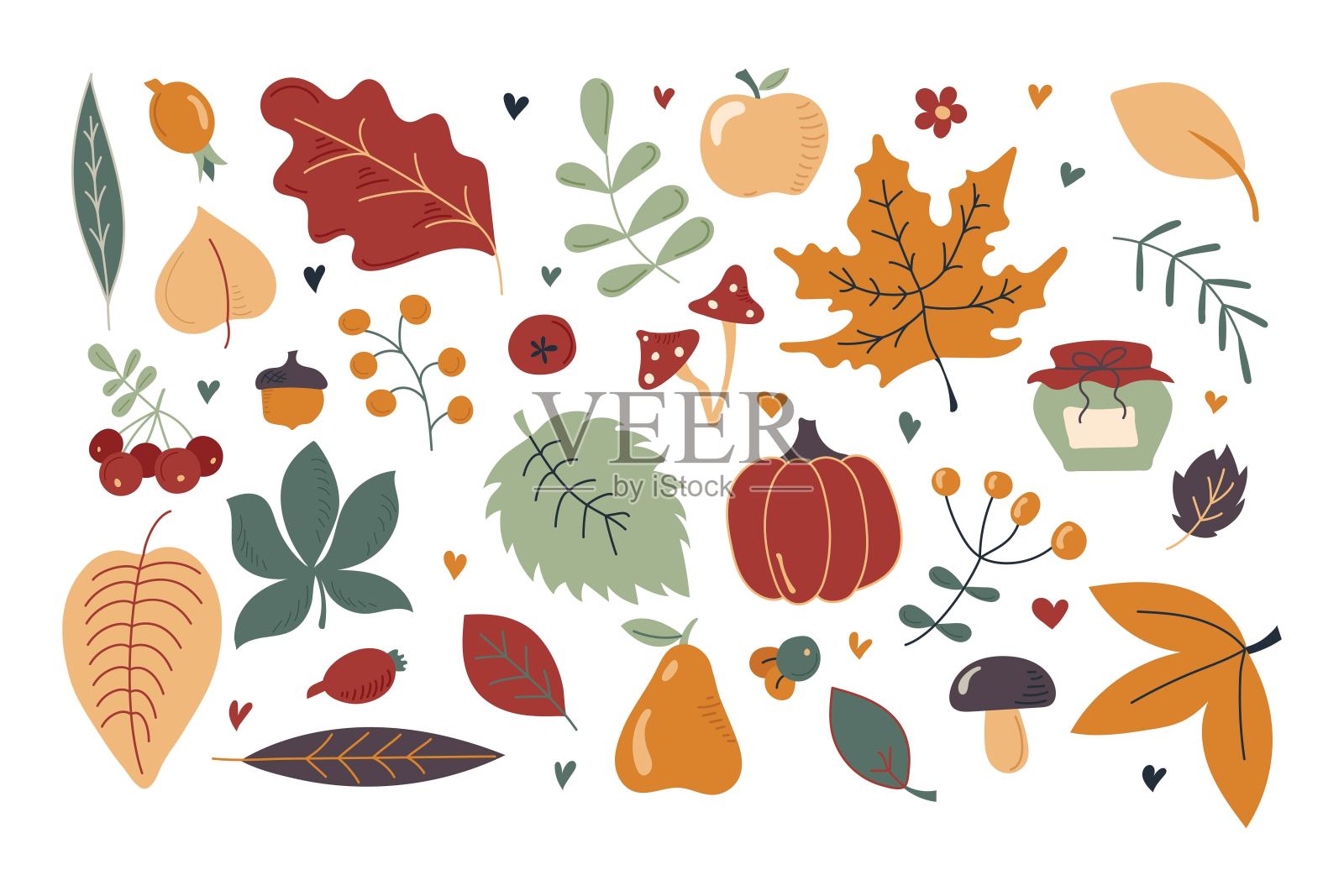 收集彩色美丽的秋天项目孤立在白色的背景。苹果，梨，南瓜，花楸，树叶，水果，树枝，果酱罐，蘑菇。秋天。所有对象都是分离的。手绘。矢量图插画图片素材