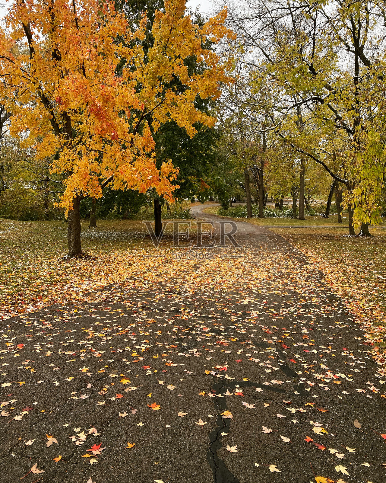 秋天的道路照片摄影图片