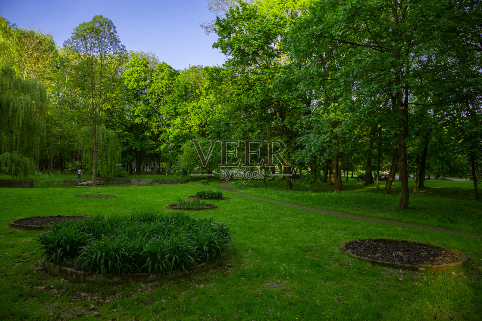 绿色草地公园广场户外环境空间，在晴朗的天气里，白天没有人，这里是宁静的散步和休息的地方照片摄影图片