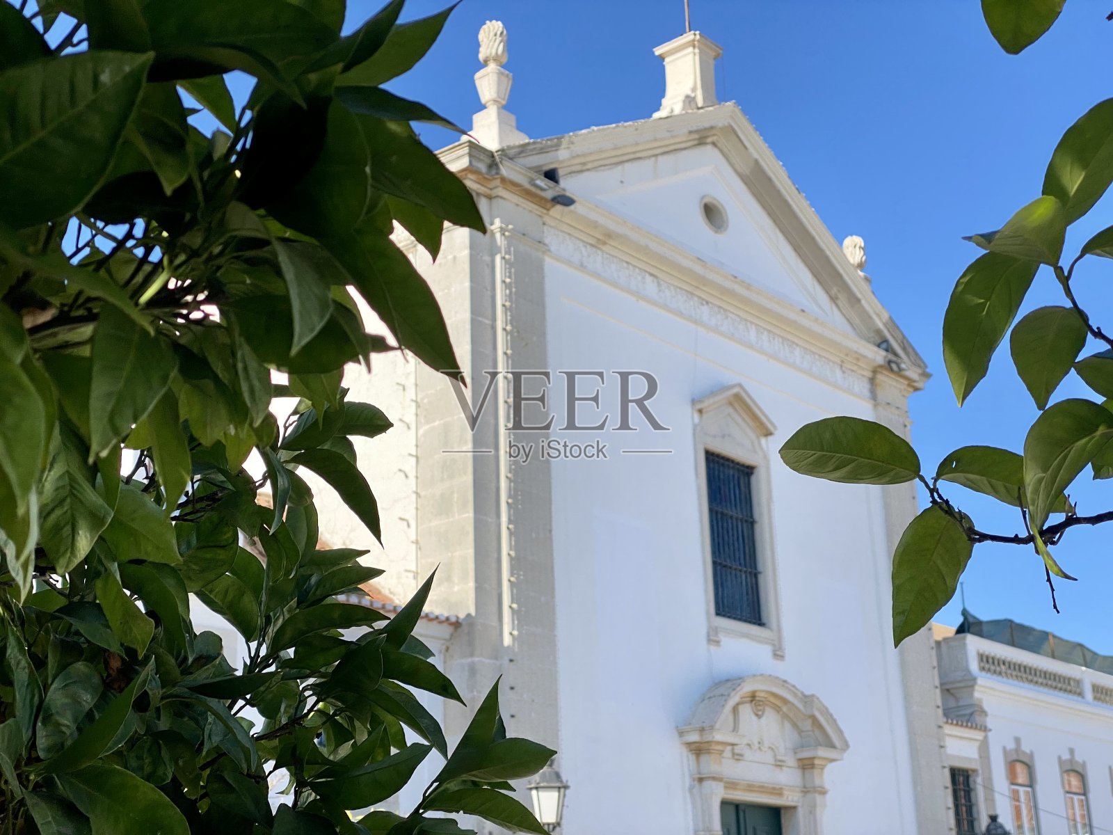 圣安东尼奥的皇家村庄照片摄影图片