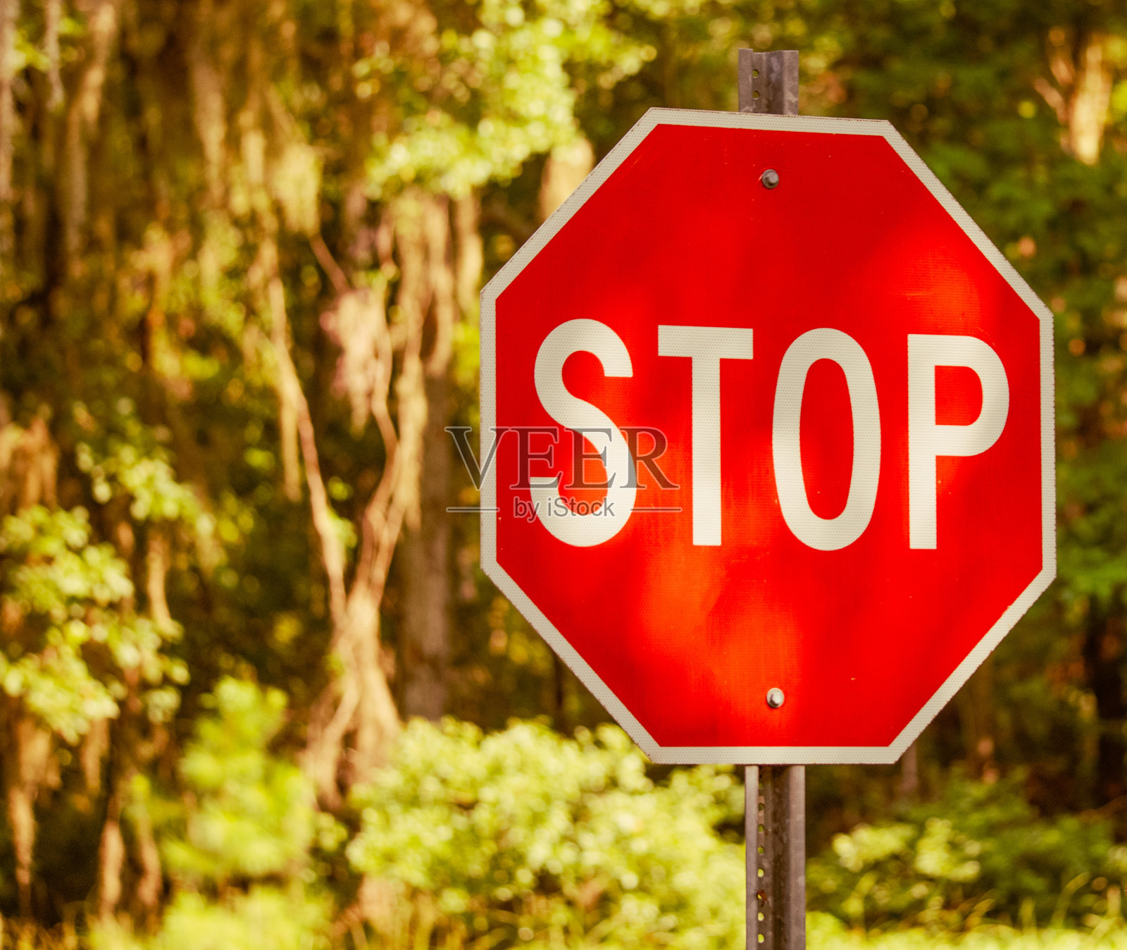 道夫斯基岛周围的标志照片摄影图片