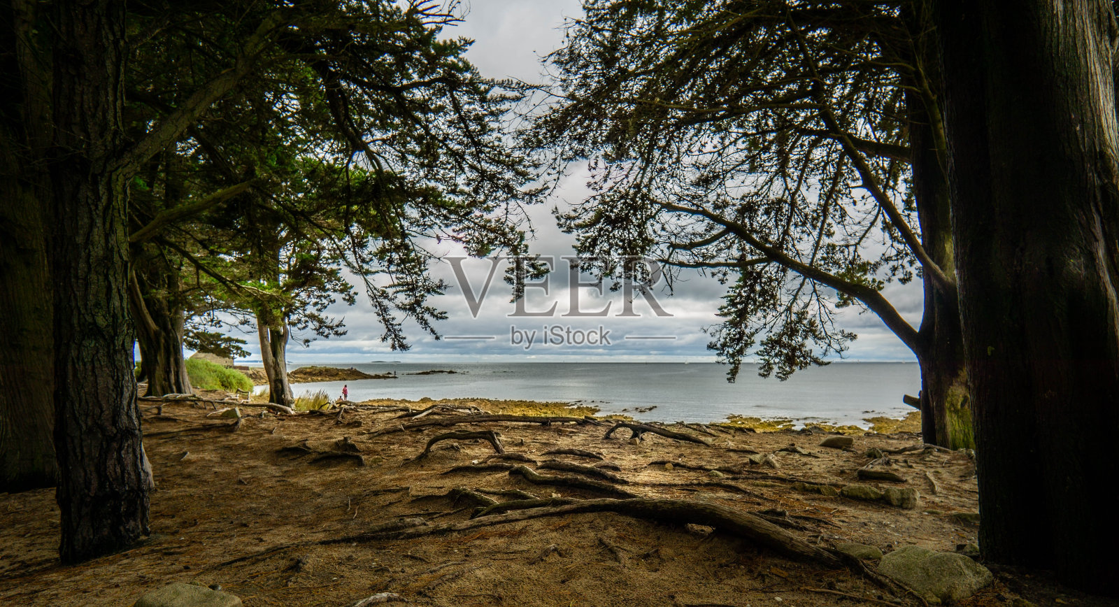 夏天的三位一体海上照片摄影图片