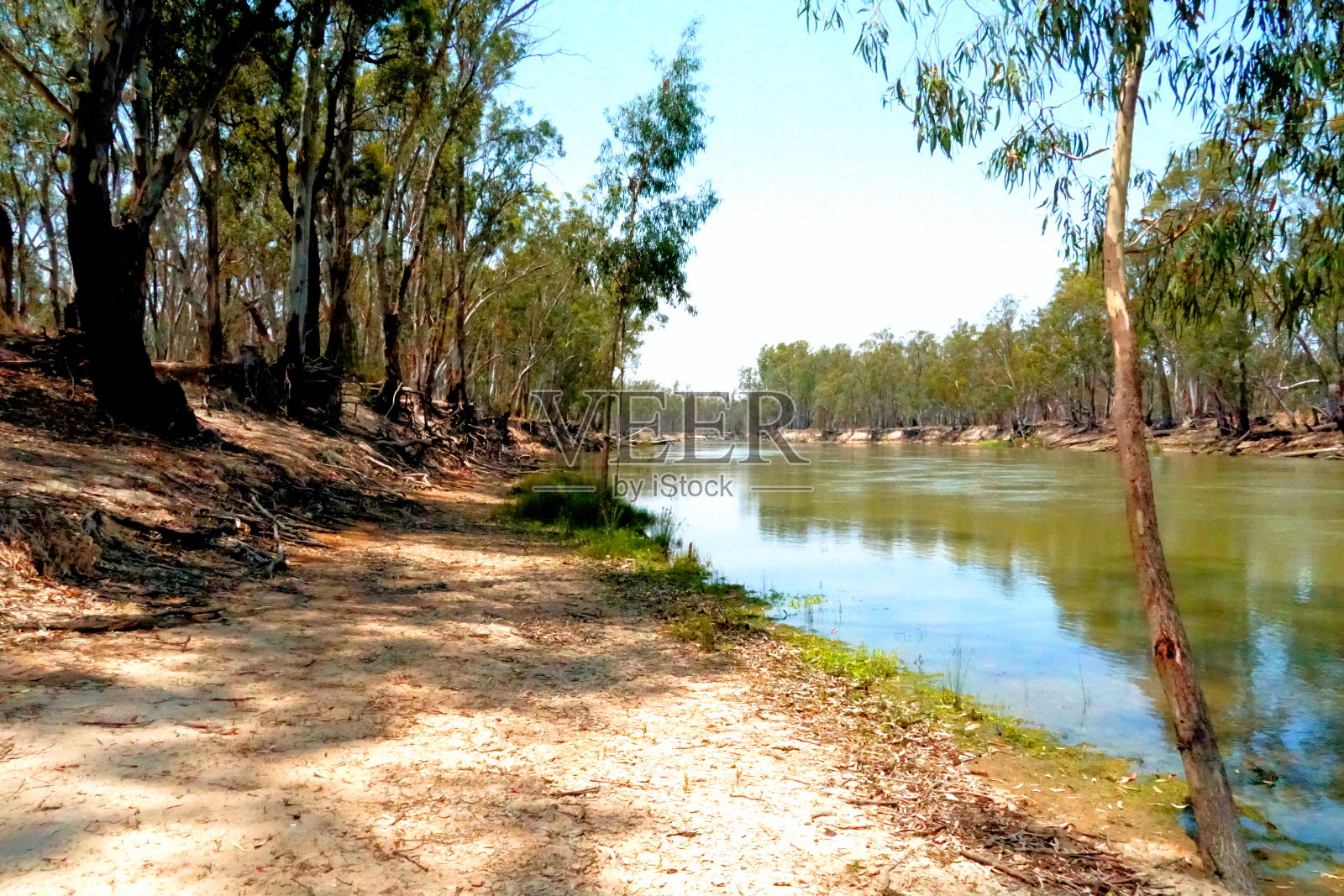 Barmah,维多利亚,澳大利亚照片摄影图片