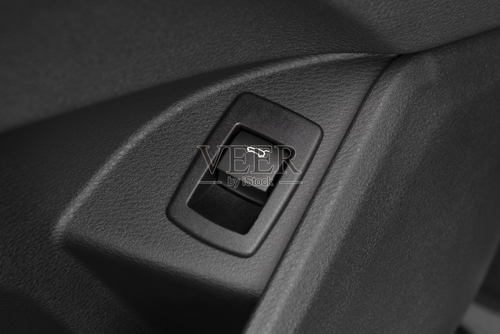 树干释放按钮照片摄影图片