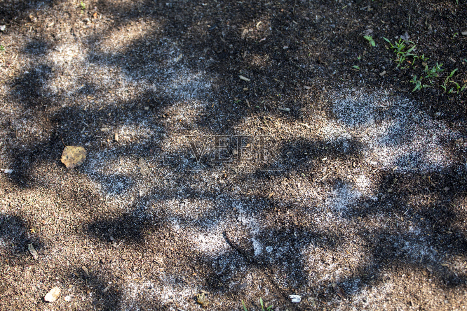 棕色抽象模糊的背景叶阴影，水平照片摄影图片