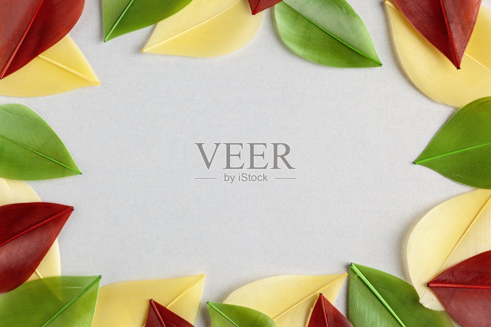 抽象的背景与彩色的鸟羽毛照片摄影图片