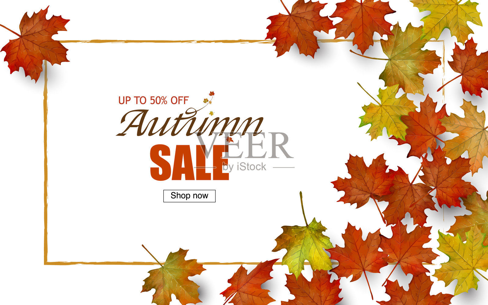 秋天枫叶白色的背景插画图片素材