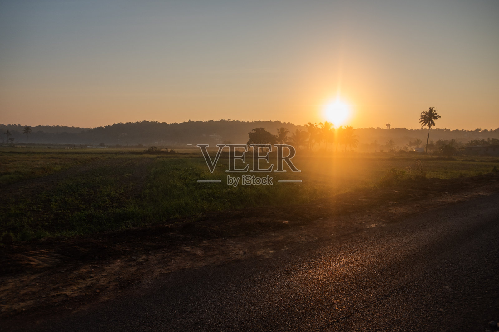 日出，印度田野里的路照片摄影图片