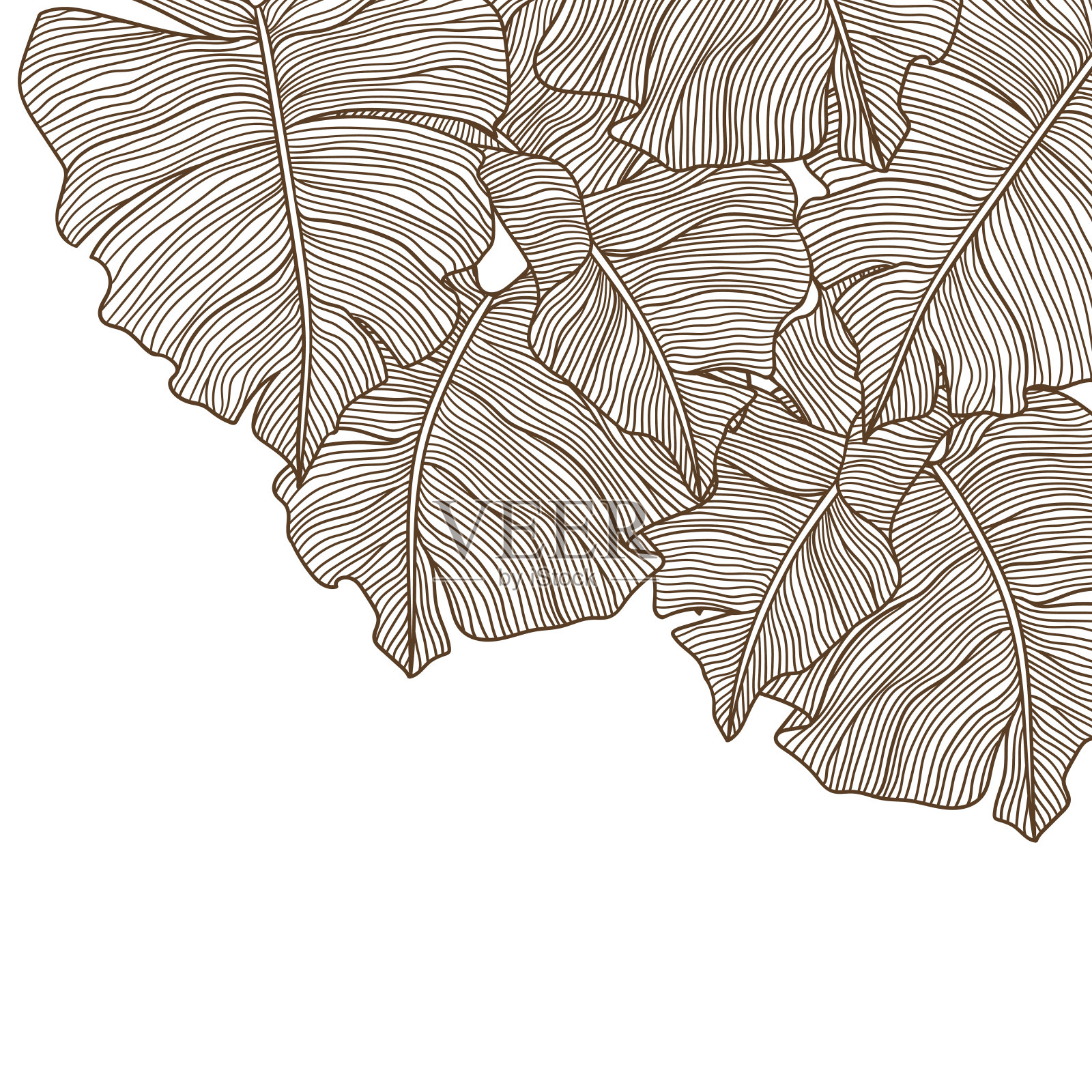 背景与程式化的棕榈叶。装饰形象的热带树叶和植物。插画图片素材