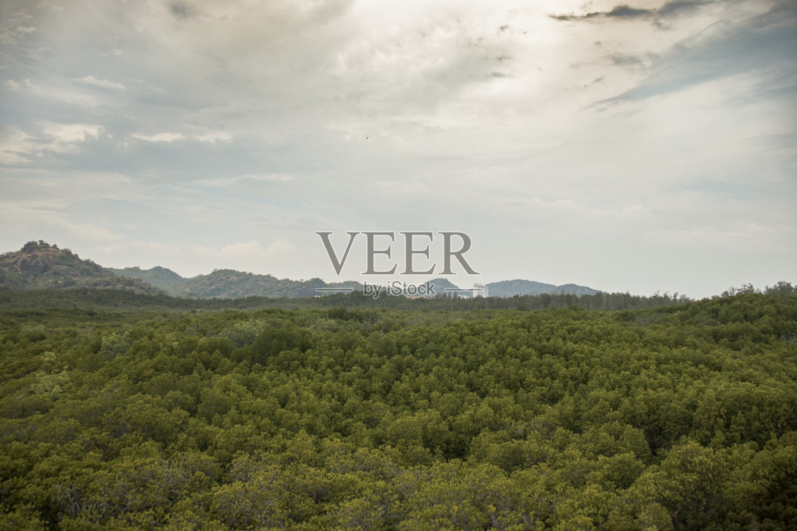 森林多云天空的俯视图照片摄影图片