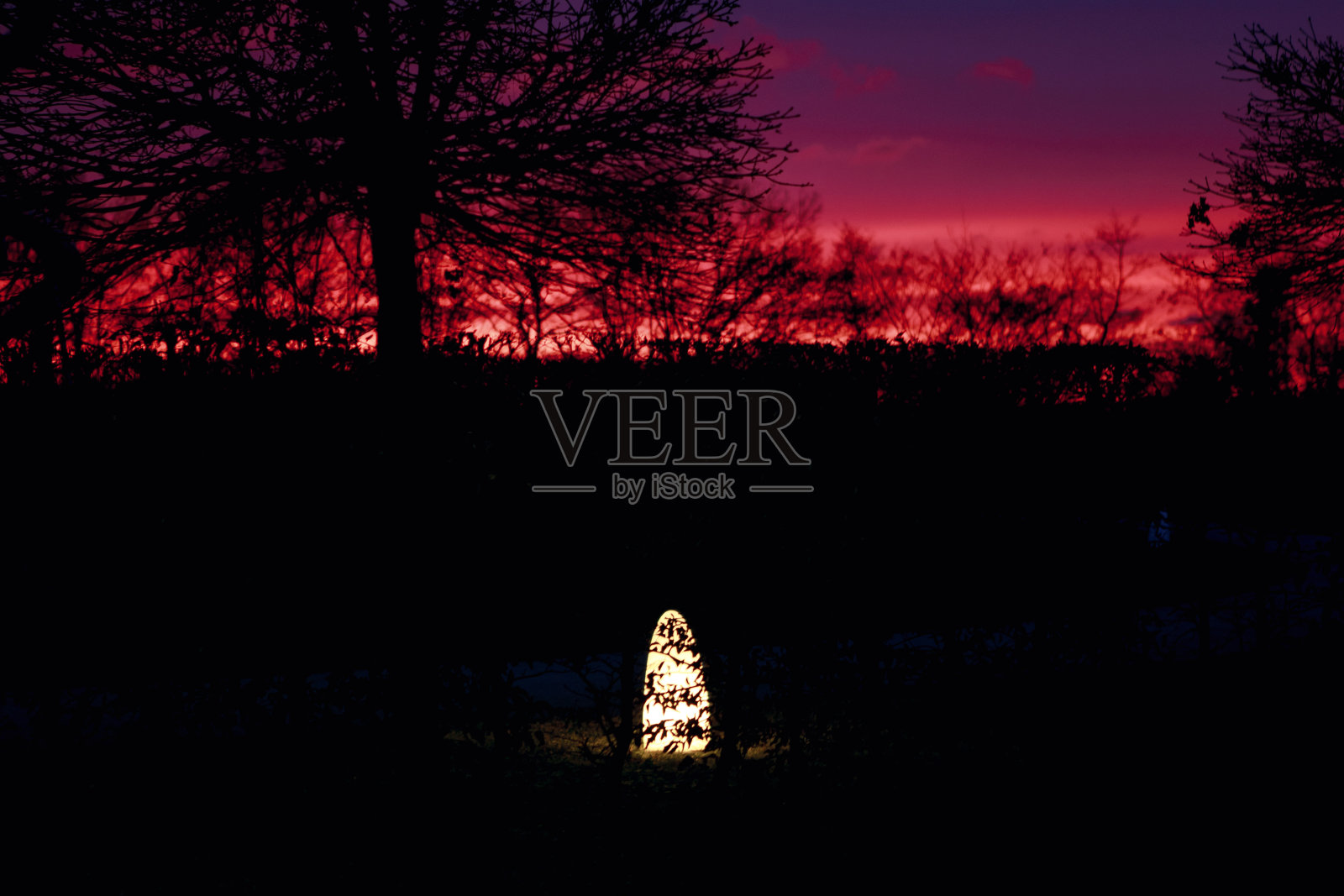 照亮花园的夜晚，大气的心情，日落的天空。照片摄影图片