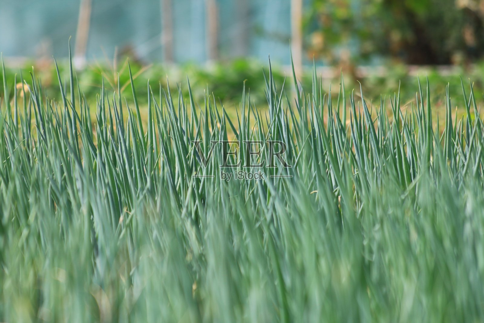 景观照片摄影图片