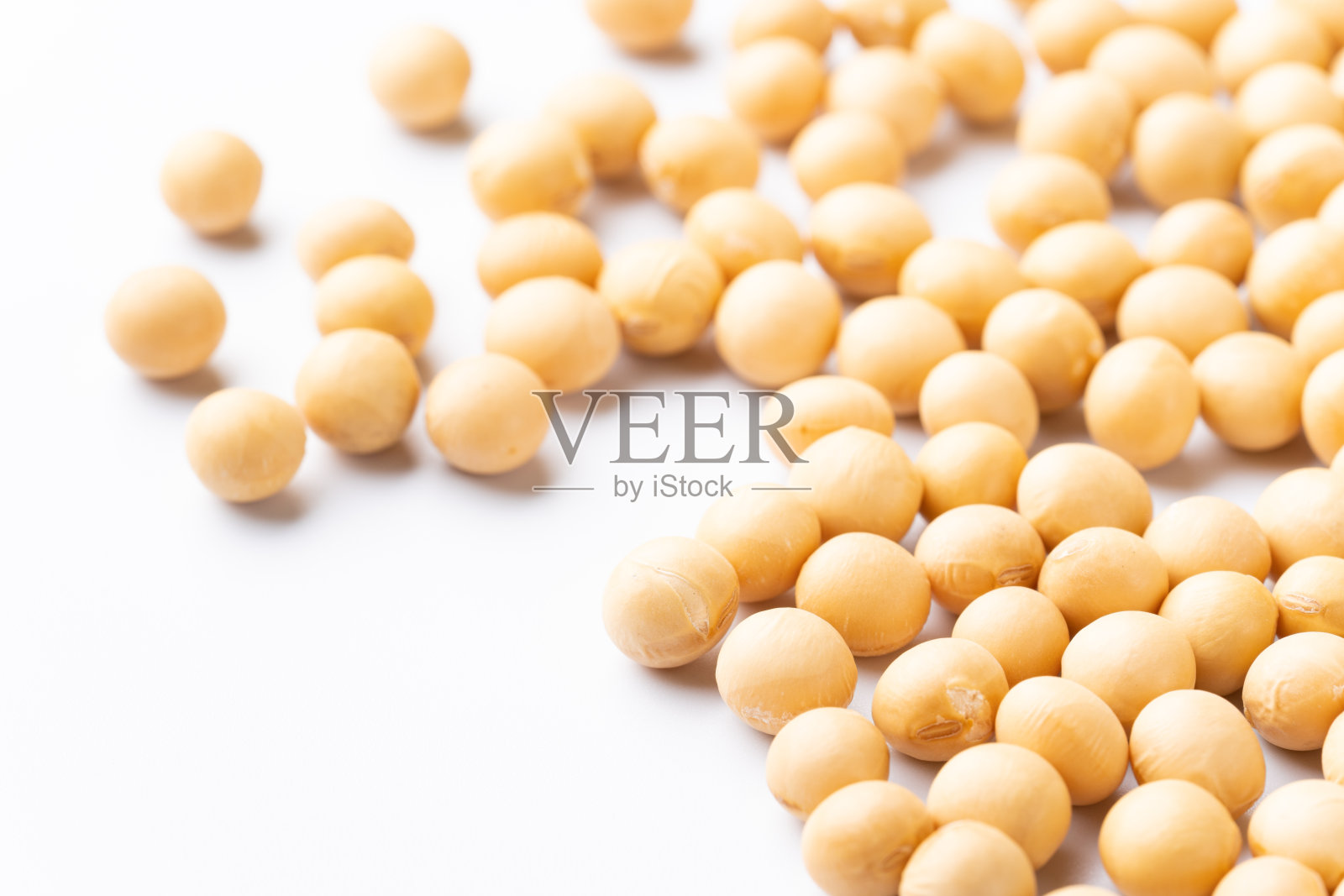 白色背景上的大豆照片摄影图片