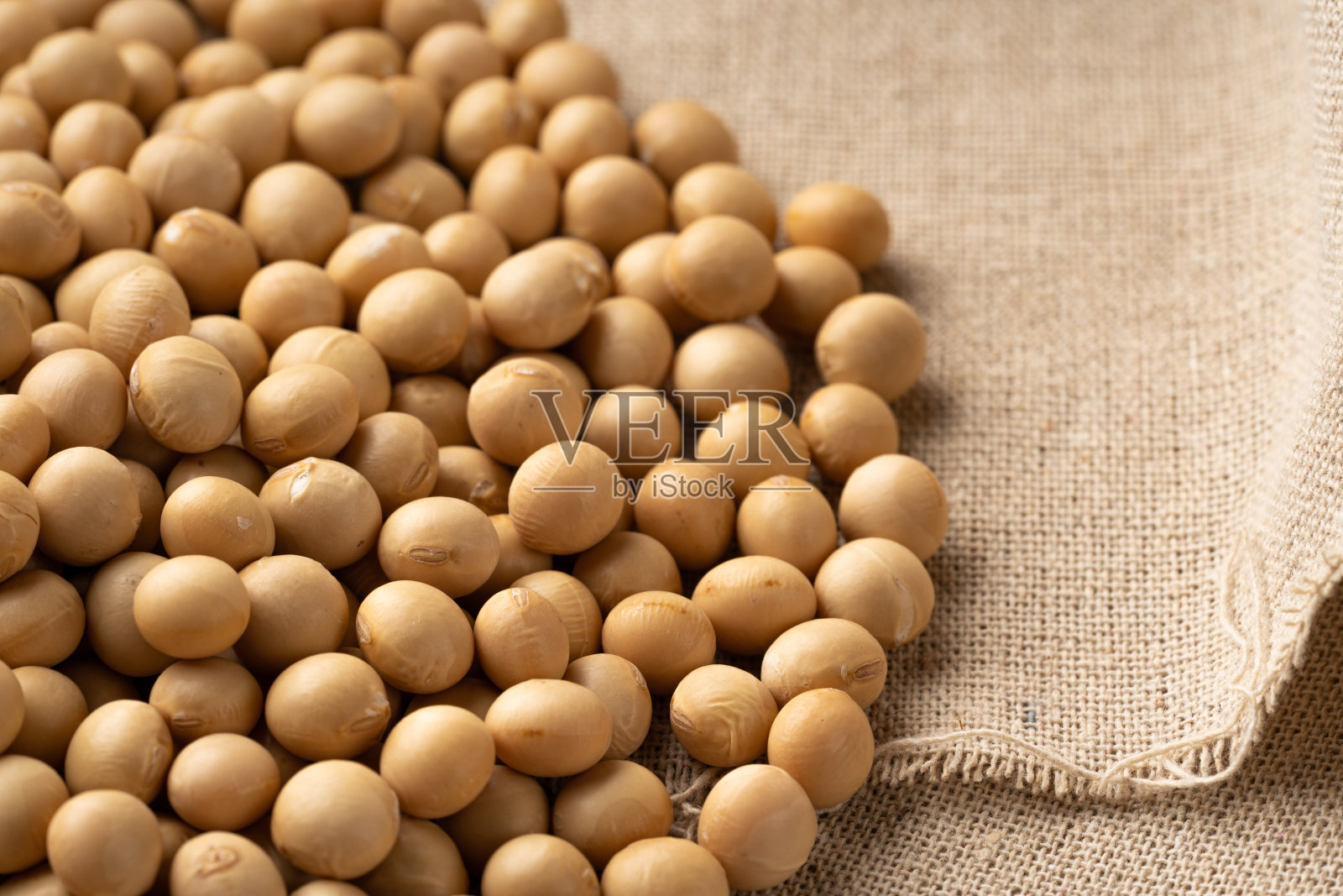 大豆照片摄影图片