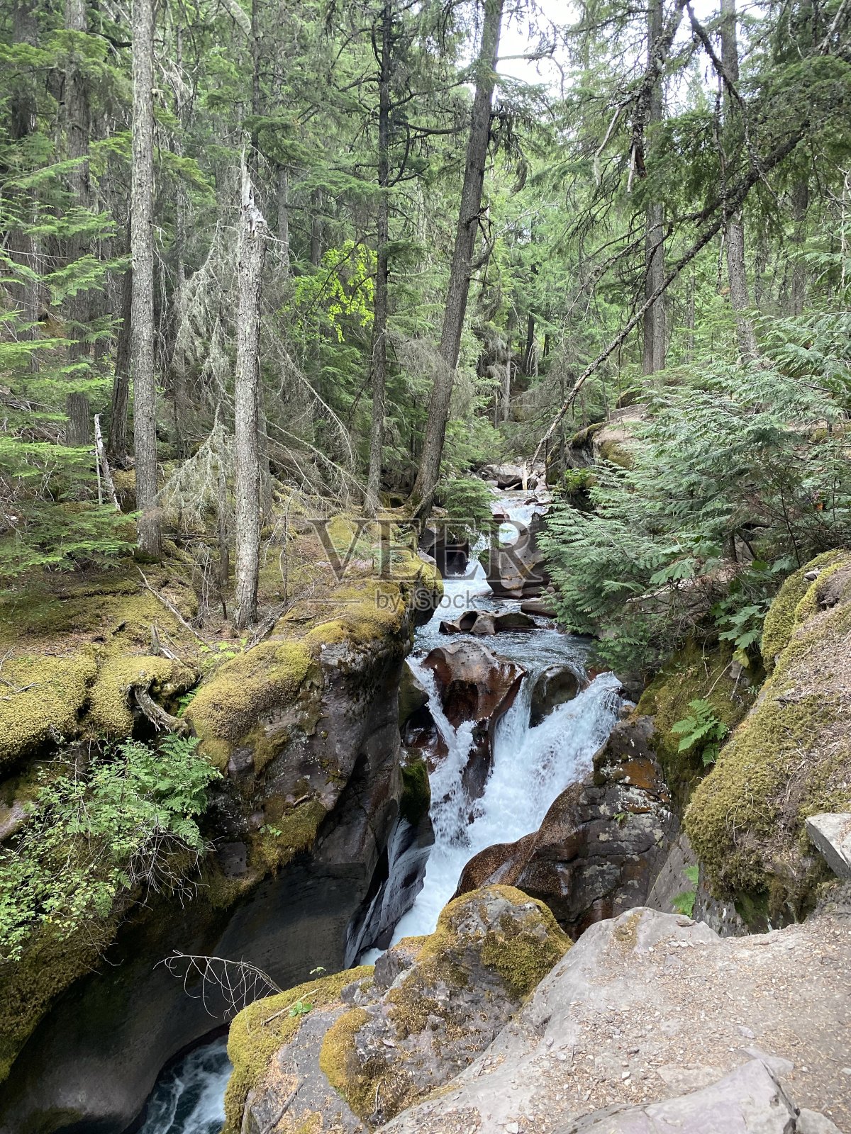 森林与清澈的河流和瀑布照片摄影图片