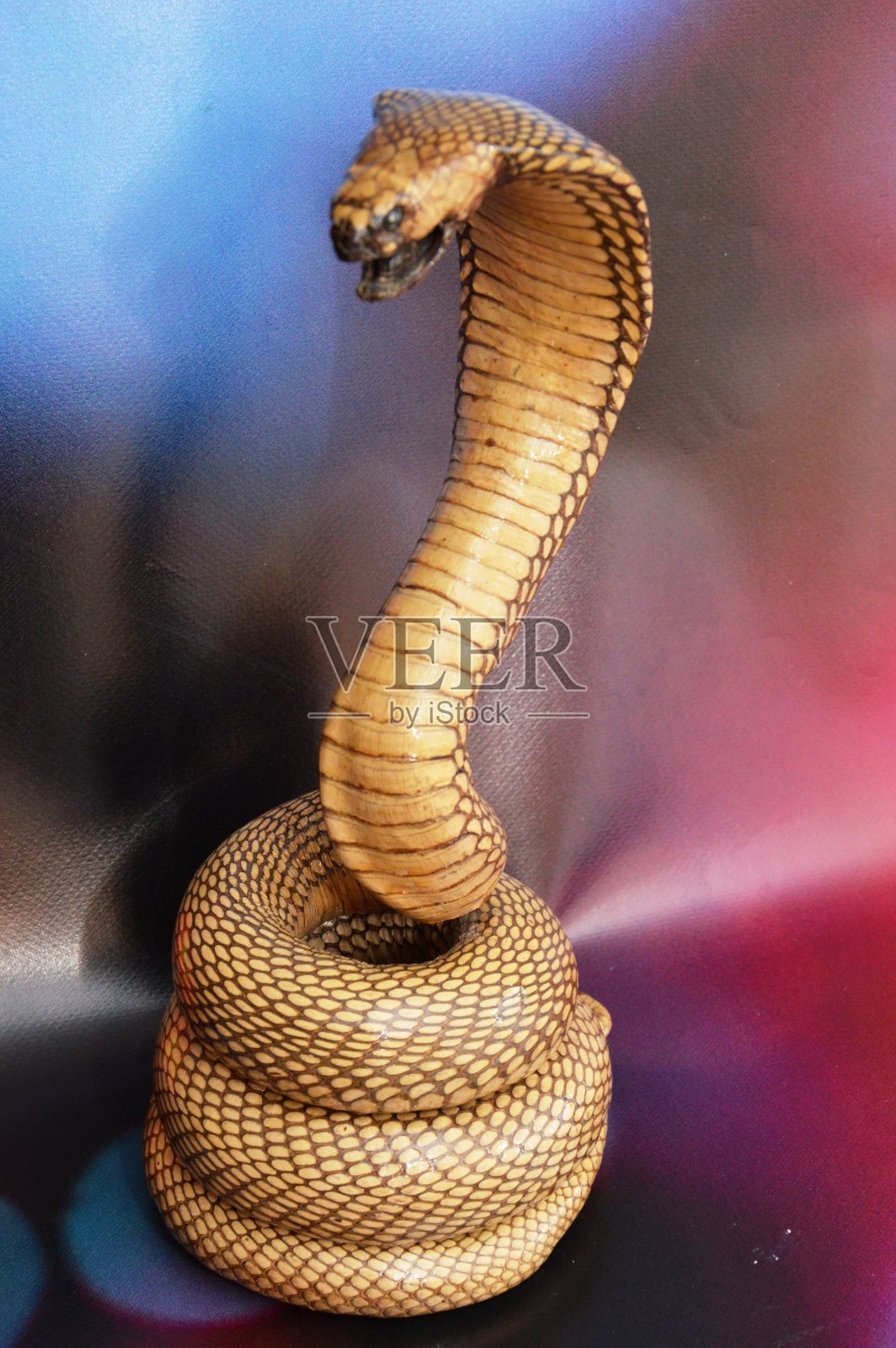 眼镜王蛇照片摄影图片