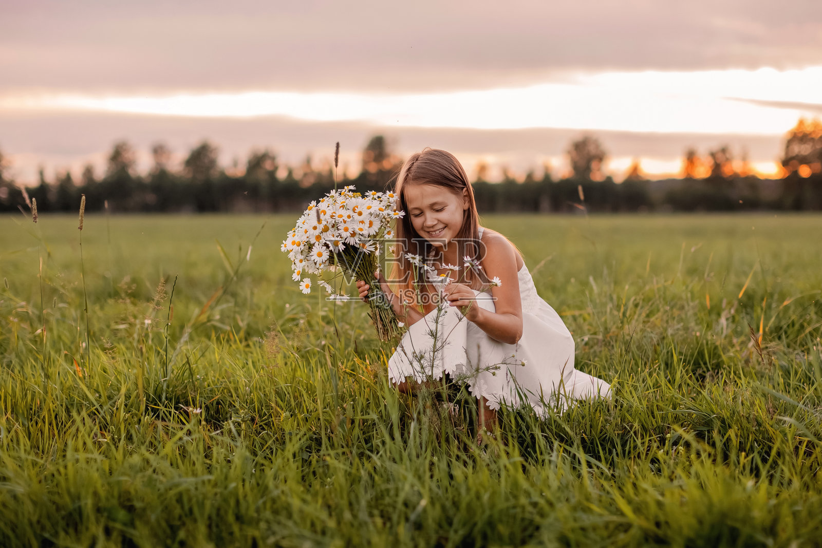 一个小女孩在乡村的田野里收集了一束雏菊照片摄影图片