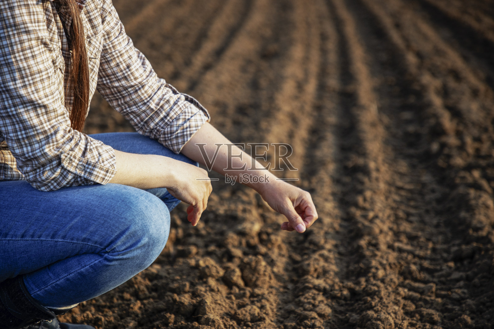 农民在一天工作结束后，播种后的双手触摸土壤。照片摄影图片