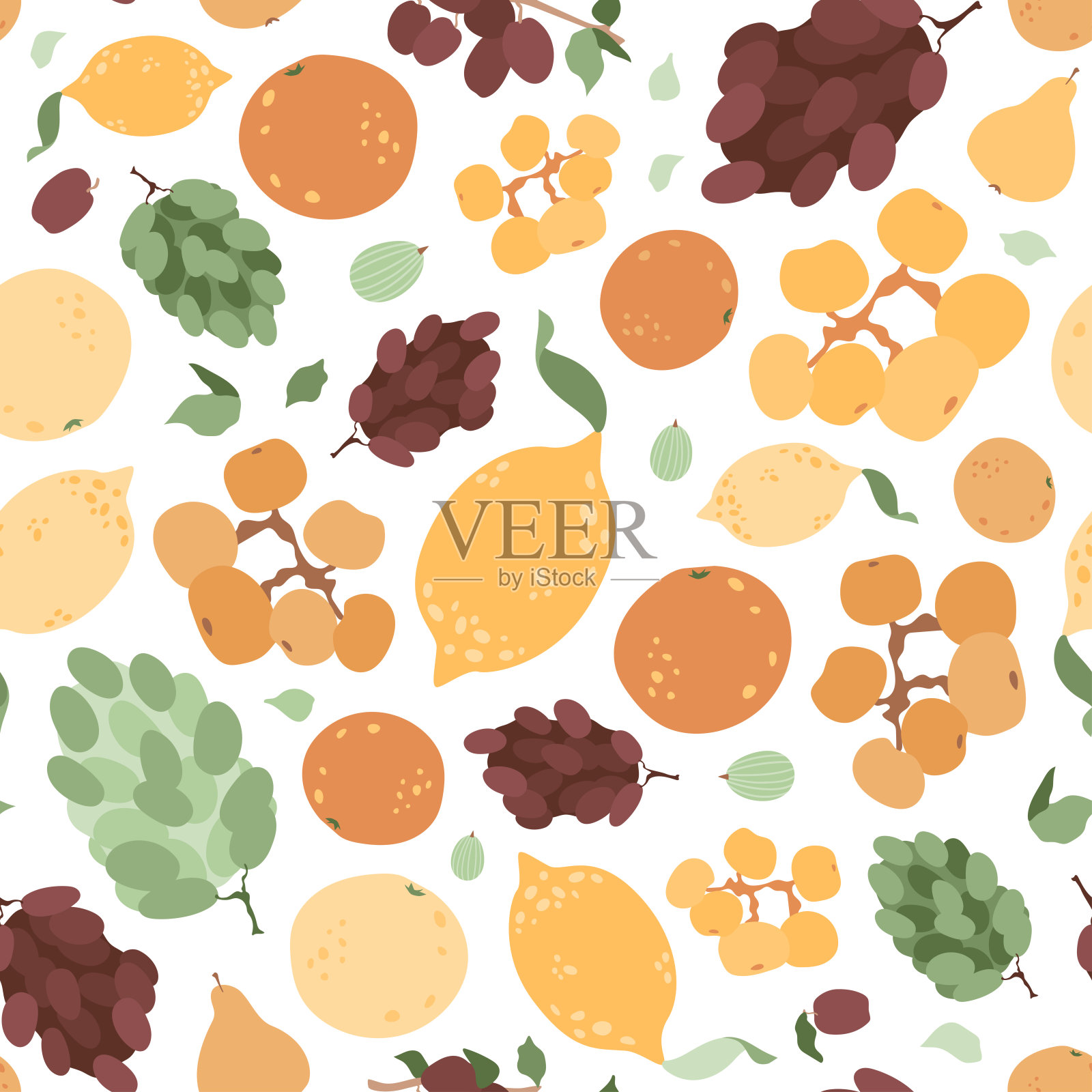 手绘的水果。橘子，柠檬，葡萄，醋栗，杏子，桃子，李子在树枝上。夏季矢量插图新鲜和多汁的食物。插画图片素材