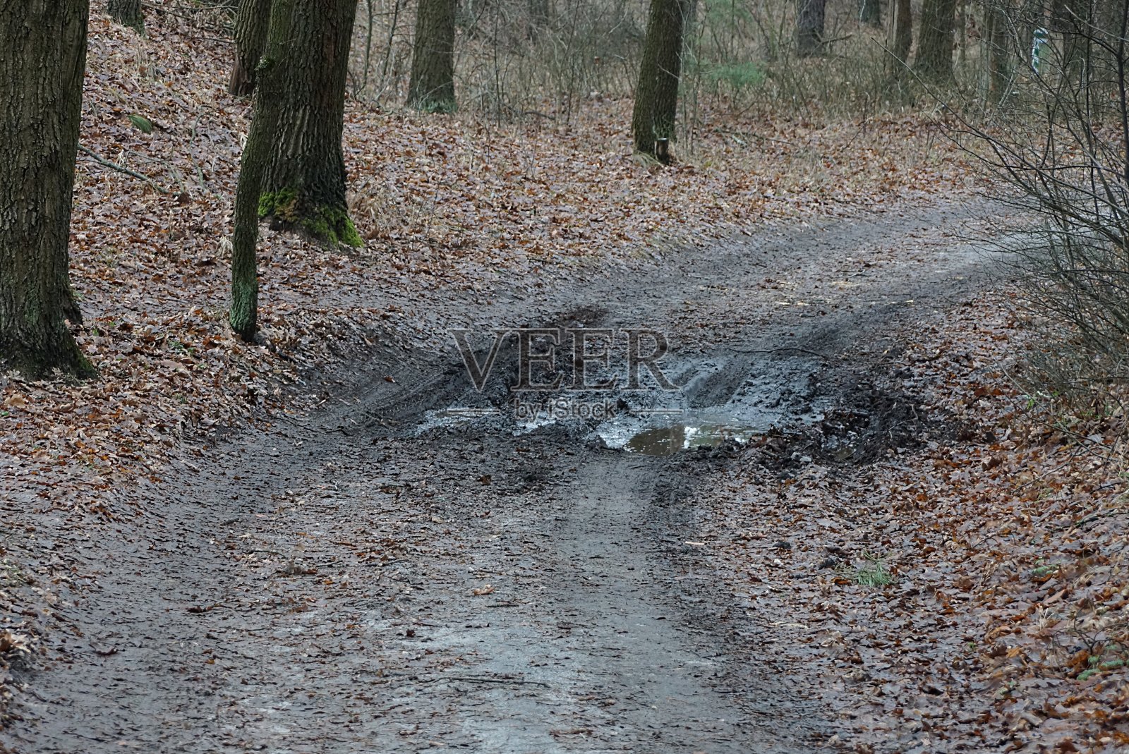 森林道路灰色地面上的一个黑色水坑照片摄影图片