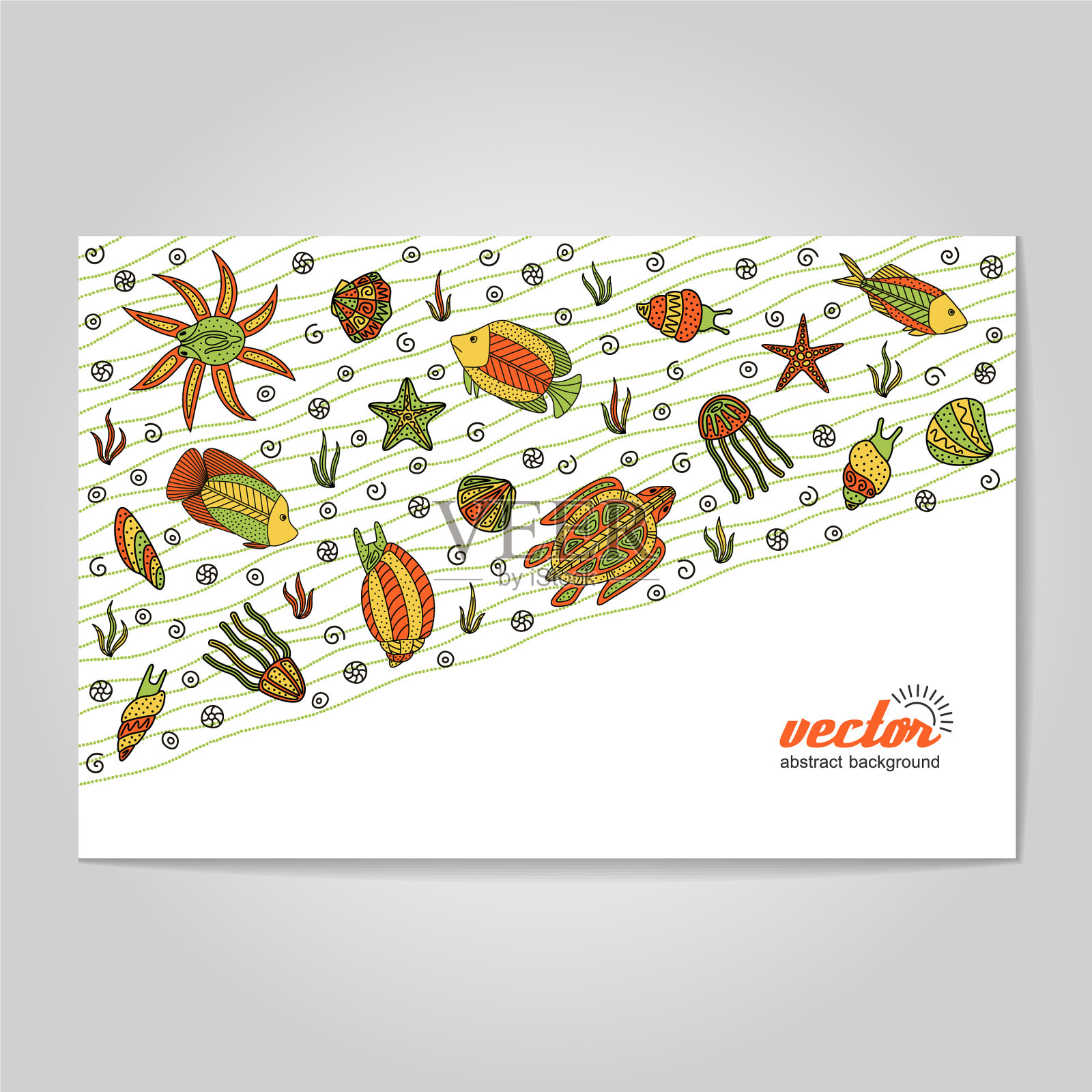 手绘-软体动物章鱼海星插画图片素材