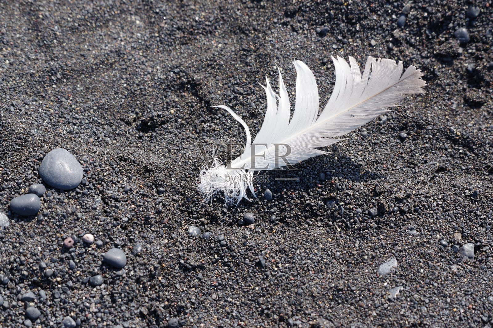 一首黑白之歌照片摄影图片