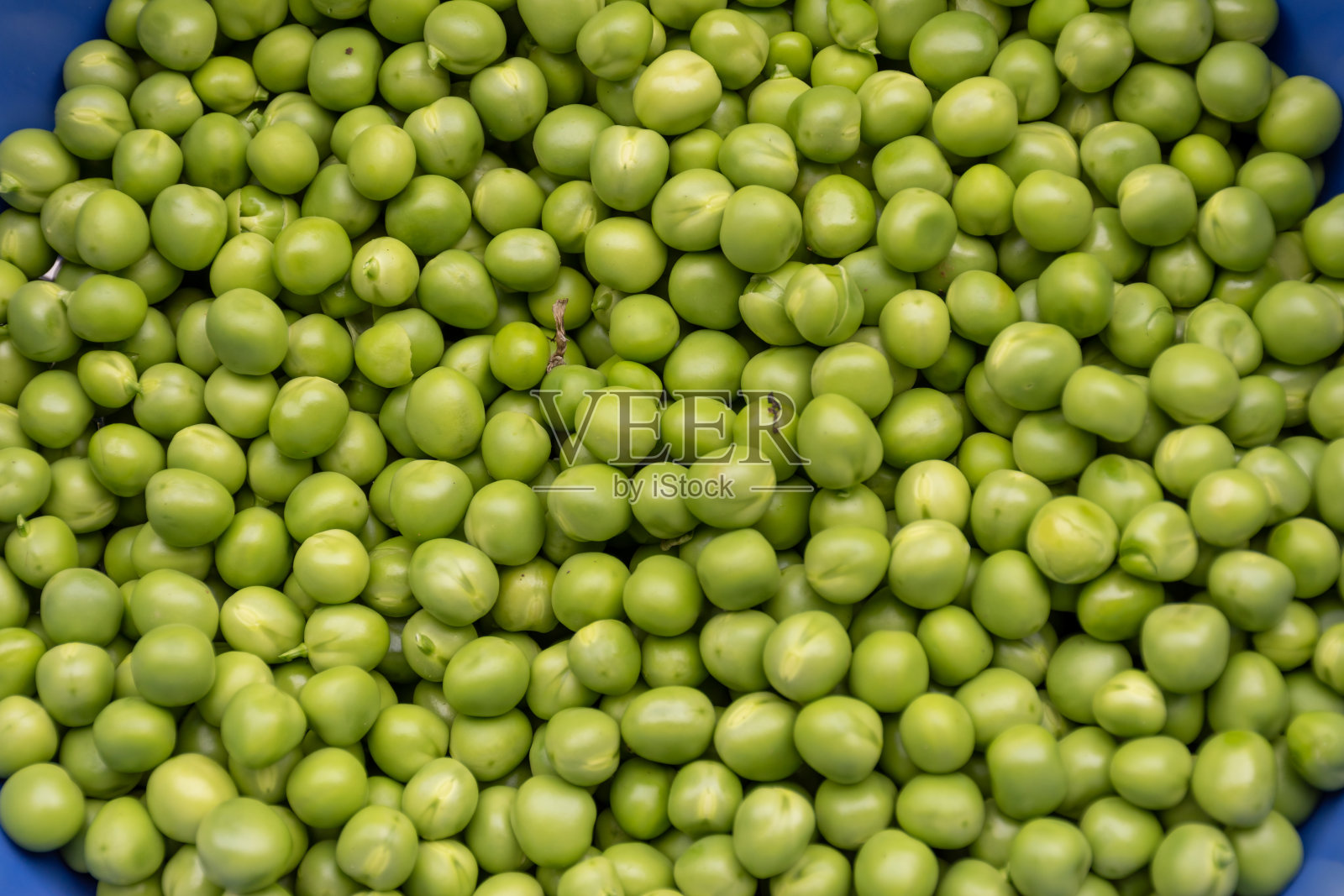 整理新鲜的豌豆准备烹饪照片摄影图片