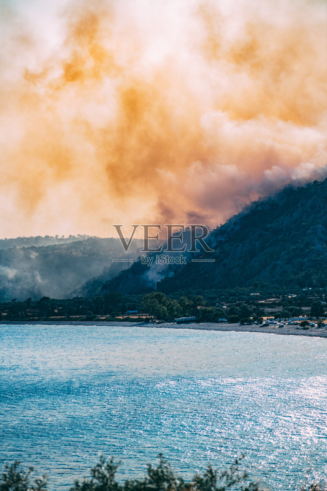 地中海红松林大火照片摄影图片