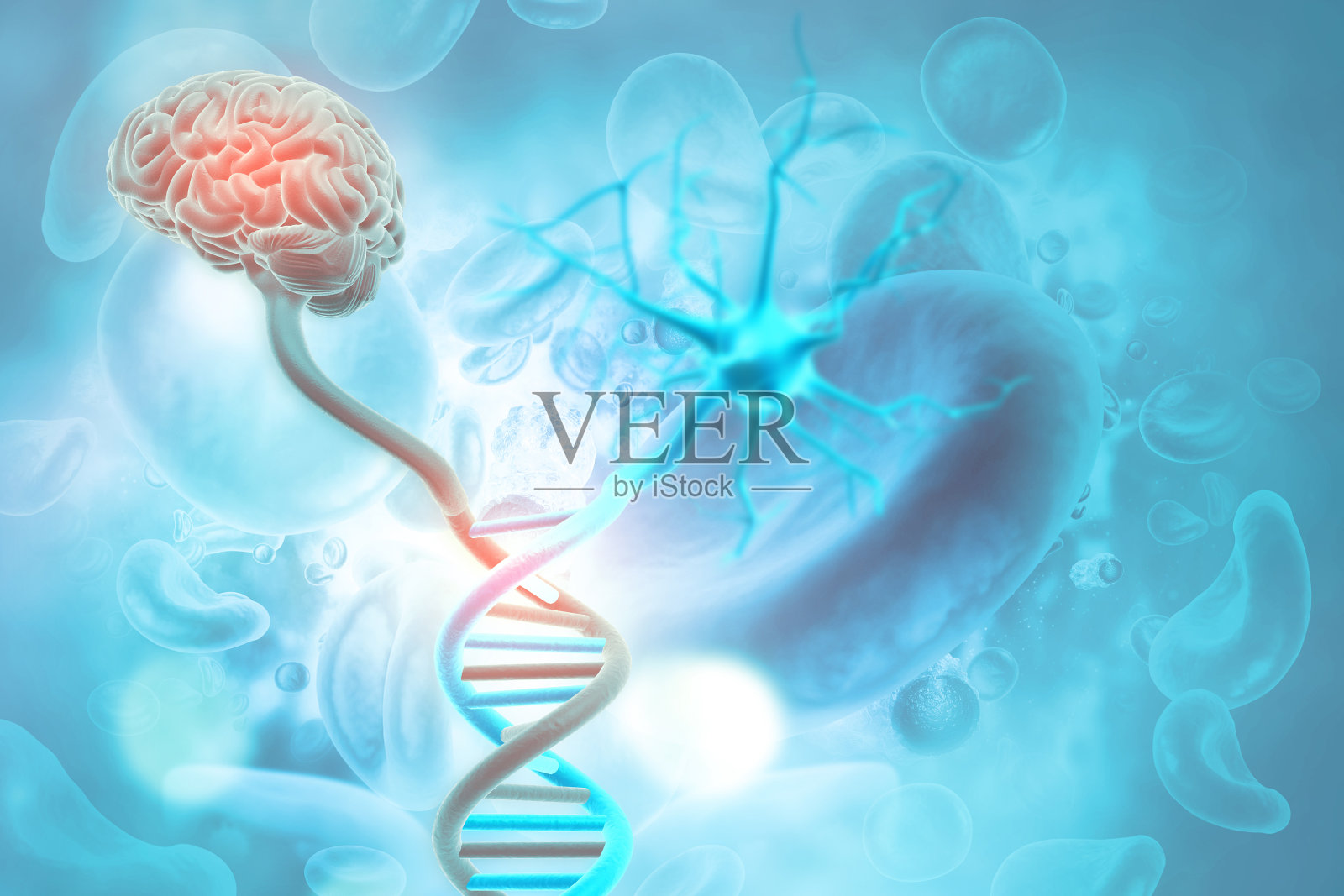 DNA结构和大脑的科学背景。三维演示照片摄影图片
