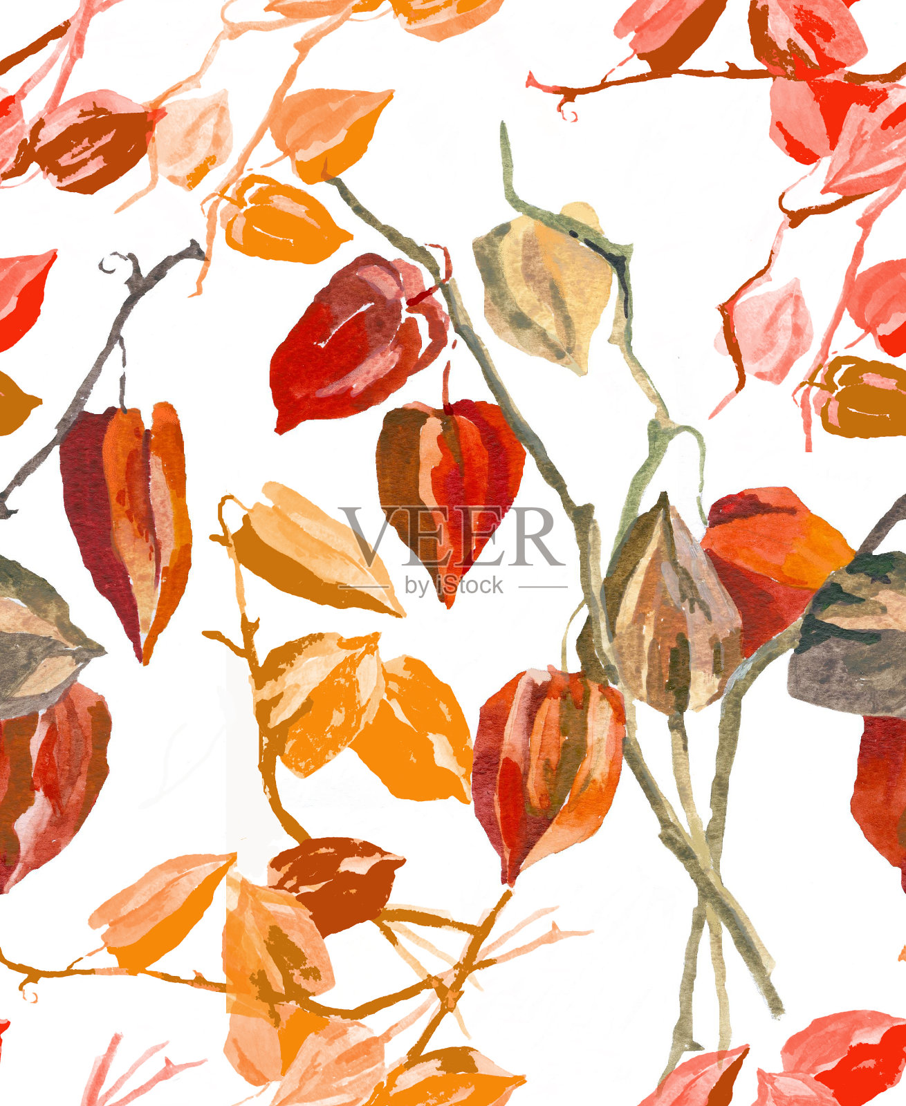 酸浆浆果枝水彩在白色背景无缝模式为所有打印。插画图片素材