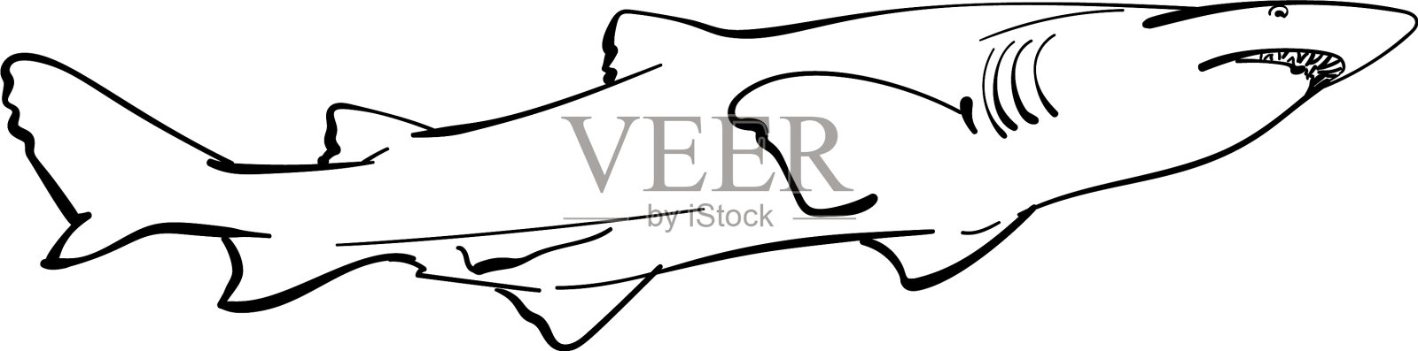 素描鲨鱼手画线性设计元素图片